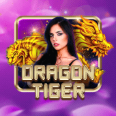 Dragon Tiger on tableplus1 app
